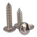 Саморезы из нержавеющей стали Так выглядит Саморезы из нержавеющей стали
